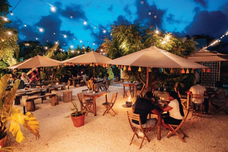 6256dc40639d359fa57a96ce DisOleHouse at night 768x512